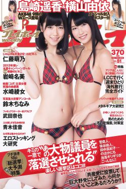 法国空姐2完整版