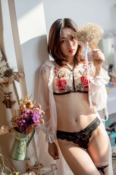 芝麻胡同全集免费播放完整版